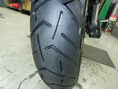 Triumph Tiger 1200 GT Pro 2024