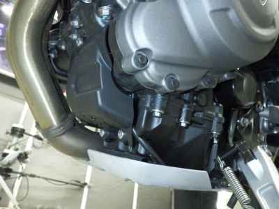 Triumph Tiger 1200 GT Pro 2024