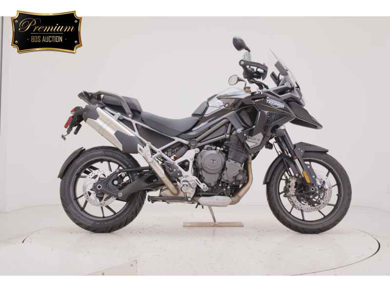 Triumph Tiger 1200 GT Pro 2024