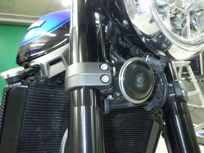 Kawasaki Z900RS 2024