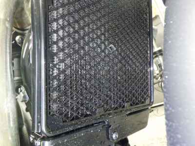 Triumph Scrambler 400X 2025