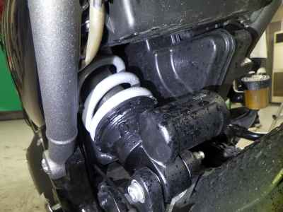 Triumph Speed 400 2025