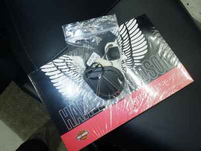 Harley-Davidson FXLRST1920 2024