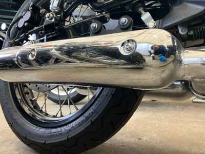 Kawasaki W800 2021