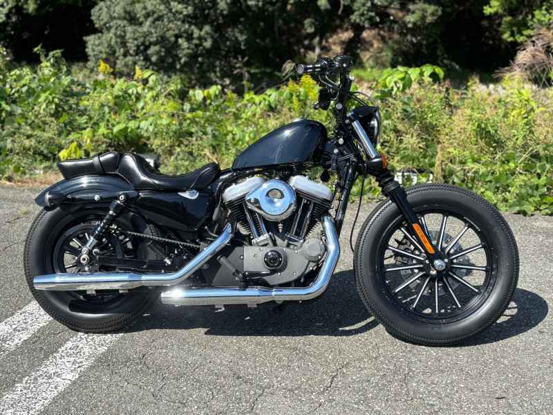 Harley-Davidson Sportster XL1200L 2010