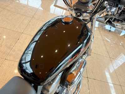 Harley-Davidson Sportster XL883R 2012