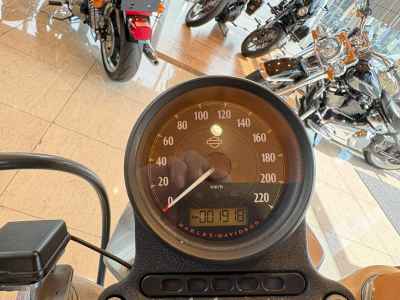 Harley-Davidson Sportster XL883R 2018
