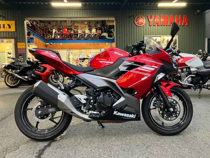 Kawasaki Ninja 250 2022