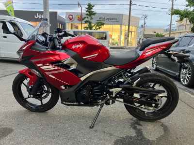 Kawasaki Ninja 250 2022
