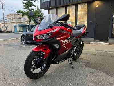 Kawasaki Ninja 250 2022