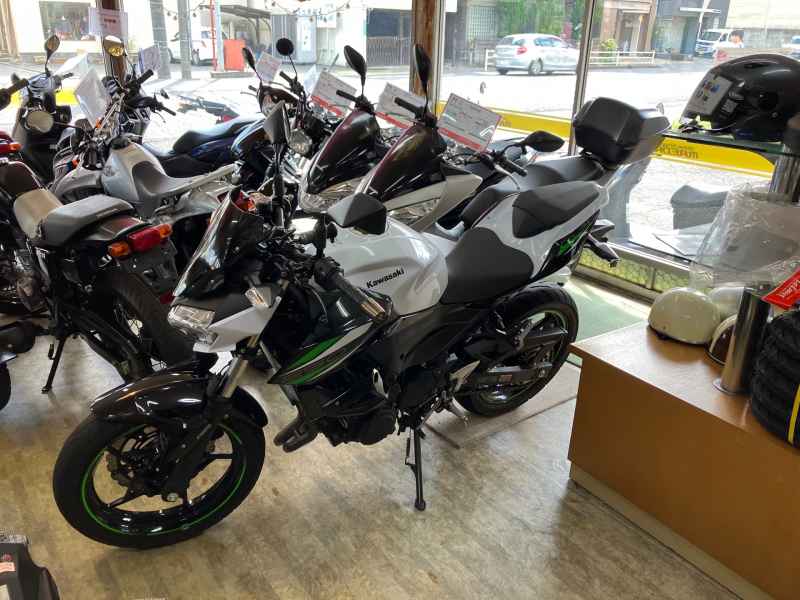 Kawasaki Z250 2019