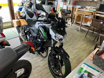 Kawasaki Z250 2019
