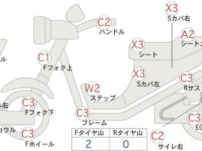 Yamaha Maxam 250