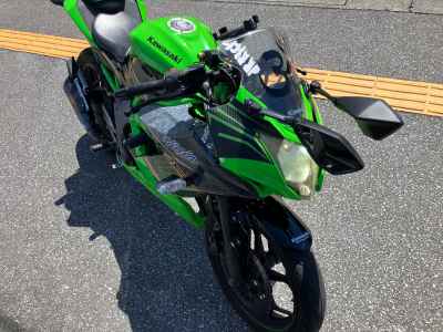 Kawasaki Ninja 250 2020