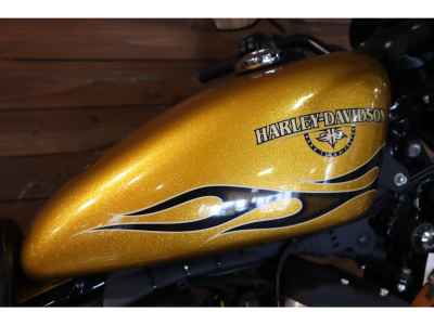 Harley-Davidson Sportster Iron XL883N 2015