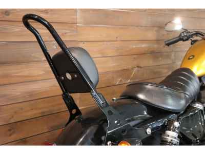 Harley-Davidson Sportster Iron XL883N 2015
