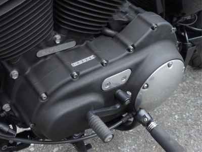 Harley-Davidson Sportster Forty-Eight XL1200X 2015