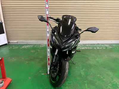 Kawasaki Ninja 1000 2017