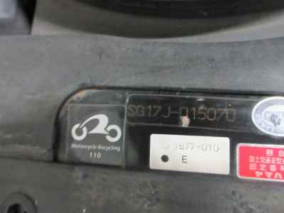 Yamaha Maxam 250