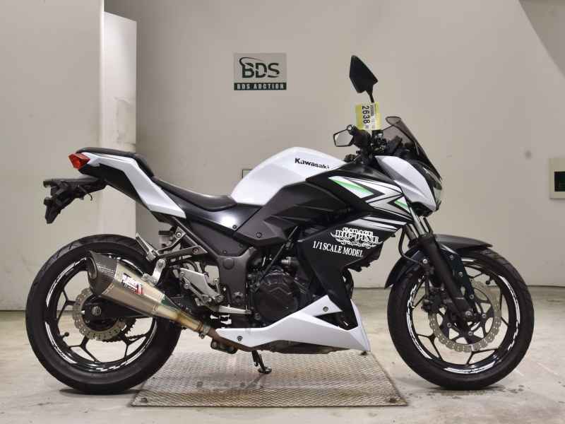 Kawasaki Z250 2014