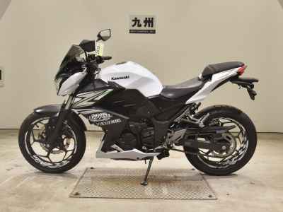 Kawasaki Z250 2014
