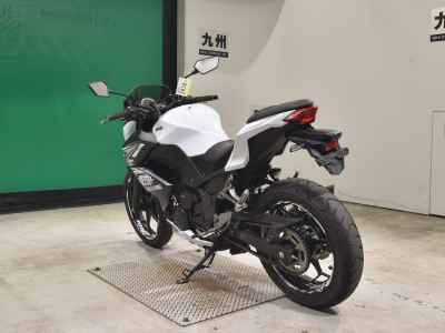 Kawasaki Z250 2014