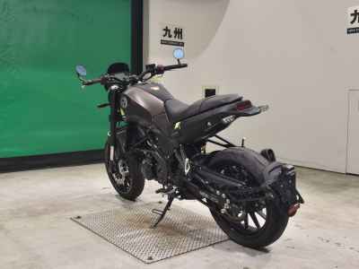 Benelli Leoncino 250 2021