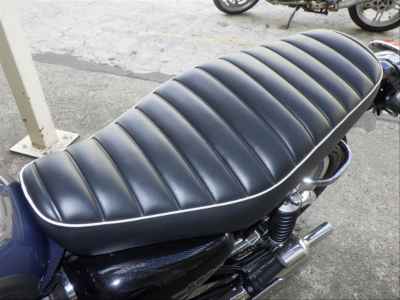 Kawasaki W800 2023