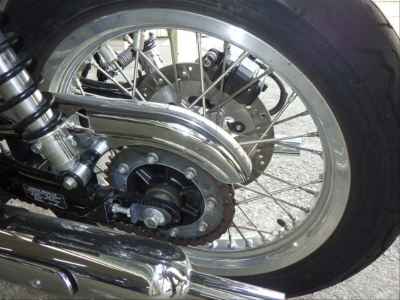 Kawasaki W800 2023