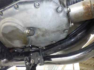 Kawasaki W800 2023