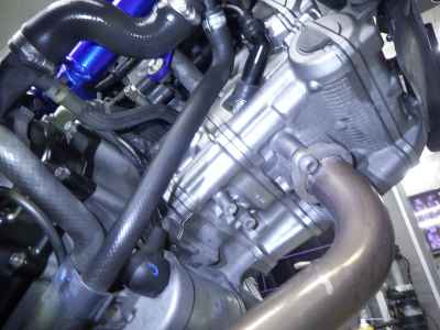 Suzuki SV650 2019