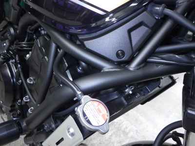 Kawasaki Z650RS 2024