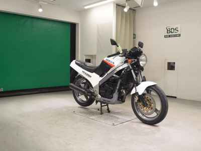 Honda VTZ250