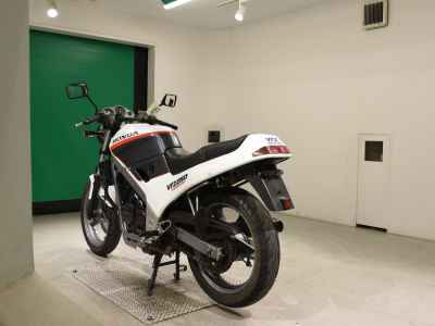 Honda VTZ250