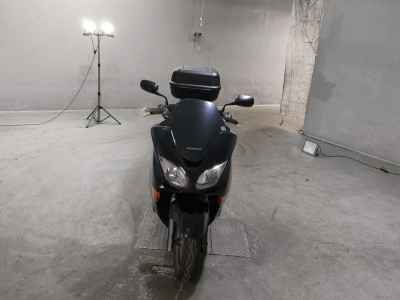 Honda Forza Z 2006