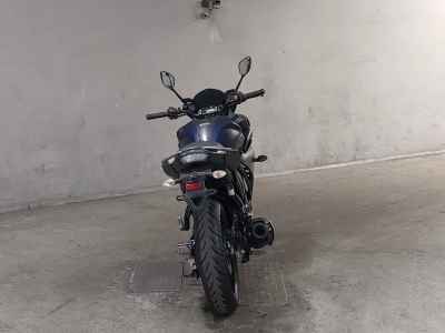 Yamaha FEATHER250