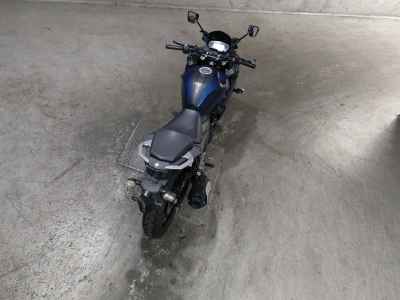 Yamaha FEATHER250