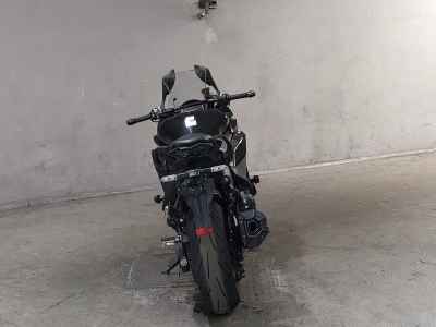 Kawasaki Ninja 1000SX 2023