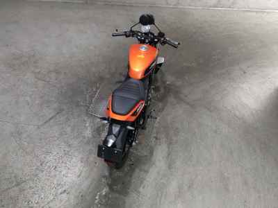 Harley-Davidson X350 2024