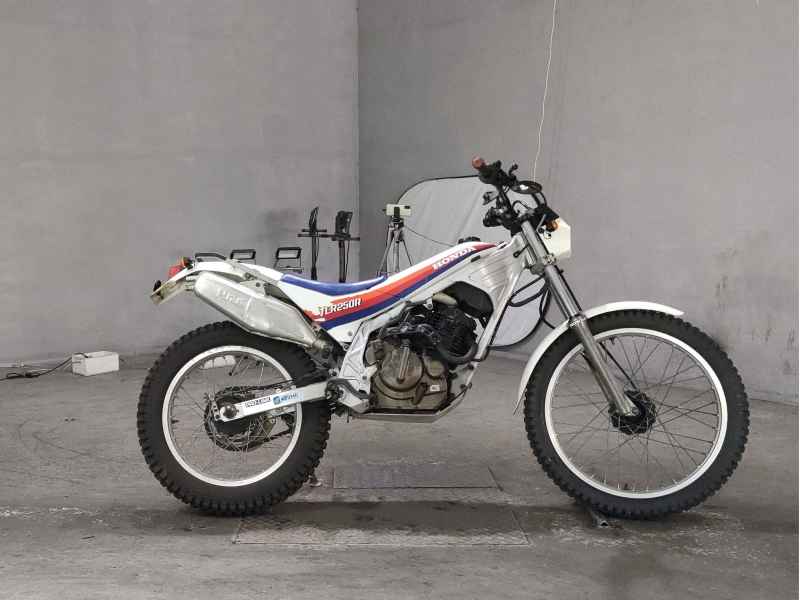Honda TLR250R