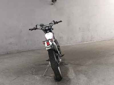 Honda TLR250R