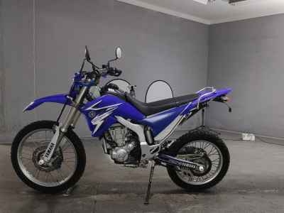 Yamaha WR250R 2009