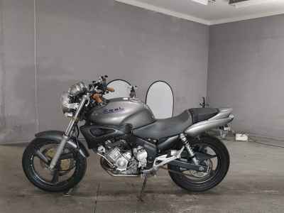 Yamaha ZEAL FZX250