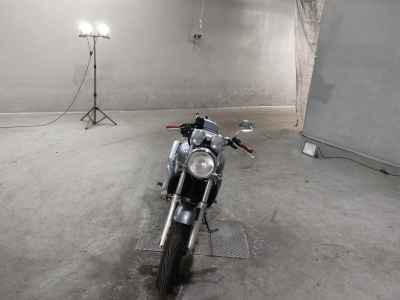 Yamaha ZEAL FZX250