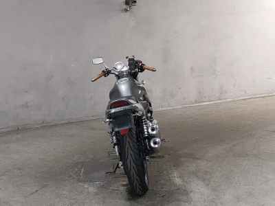 Yamaha ZEAL FZX250