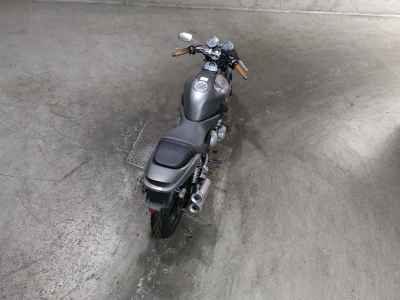 Yamaha ZEAL FZX250