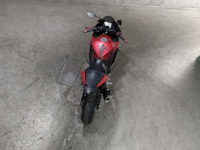Yamaha YZF-R3 2019