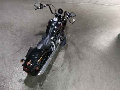Harley-Davidson CROSS BONES FLSTSB1580 2010