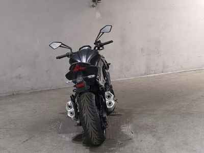 Kawasaki Z1000 2019