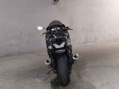 Kawasaki ZZR1400 2007